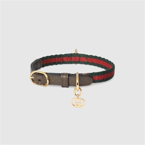 collan gucci|Gucci designer cat collars.